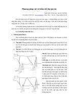 Phương pháp vật ngã và cố định đại gia súc docx