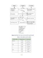 Giáo trình con người và môi trường - part 9 pdf