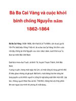 Bà Ba Cai Vàng và cuộc khởi binh chống Nguyễn năm 1862-1864 pptx