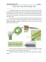 Cấu trúc của tế bào thực vật ppsx