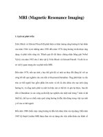 MRI (Magnetic Resonance Imaging) pot