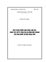 Mô tả đặc điểm lâm sàng, nội soi, chụp cắt lớp vi tính của dị hình mũi xoang gây đau nhức sọ mặt mạn tính