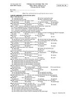 THI HỌC KỲ I NĂM HỌC 2010 - 2011 MÔN: TIẾNG ANH Lớp 12 - MÃ ĐỀ THI: 280 pot