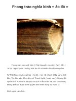 Phong trào nghĩa binh « áo đỏ » docx