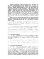 VI SINH VẬT NHIỄM TẠP TRONG LƯƠNG THỰC - THỰC PHẨM part 6 pot