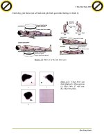 Giáo trình hướng dẫn phân tích thăm dò chức năng nguyên tử đồng vị bằng phóng xạ p10 ppsx