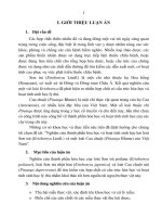 tóm tắt luận án tiến sĩ nghiên cứu thành phần hóa học và hoạt tính sinh học hai loài sơn trà (eriobotrya lindl) và một loài cau chuột (pinanga blume) của việt nam