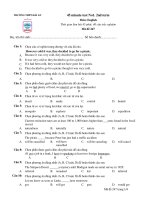 45 Minute Test - Mã đề 247 ppsx