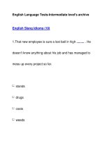 English Language Tests-Intermediate level''''s archiveEnglish Slang Idioms (19) docx