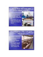 Chăn nuôi sinh thái không chất thải part 1 ppsx
