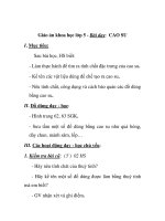 Giáo án khoa học lớp 5 - Bài dạy: CAO SU pot