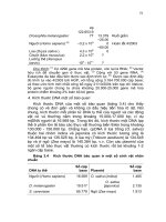Giáo trình Nucleic Acid part 4 pptx