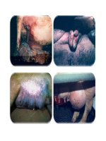 Giáo trình thú y cơ bản part 4 doc