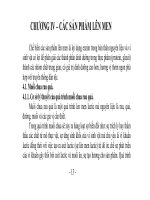 CÔNG NGHỆ SẢN XUẤT THỰC PHẨM TRUYỀN THỐNG - CHƯƠNG 4 pot