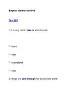 English Idioms''''s archiveTest 002 pps