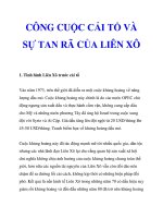 CÔNG CUỘC CẢI TỔ VÀ SỰ TAN RÃ CỦA LIÊN XÔ_1 doc