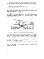 Các quá trình và thiết bị công nghệ sinh học : THIẾT BỊ VẮT, TRÍCH LY, TINH CHẾ CÁC SẢN PHẨM THU NHẬN TỪ PHƯƠNG PHÁP TỔNG HỢP VI SINH part 5 potx