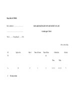 MẪU BẢNG KIỂM KÊ NGUỒN VỐN CHỦ SỞ HỮU CỦA DOANH NGHIỆP pot