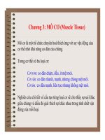 Đại cương về Mô và Phôi : MÔ CƠ (Muscle Tissue) part 1 pps