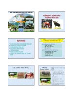 Chăn nuôi trâu bò : Giống và công tác giống trâu bò part 1 docx