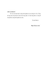 Nghiên cứu bệnh đái tháo đường