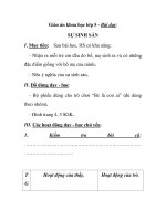 Giáo án khoa học lớp 5 - Bài dạy: SỰ SINH SẢN ppsx