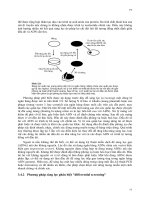 Một số vấn đề của sinh học phân tử part 5 ppsx