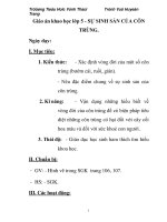 Giáo án khao học lớp 5 - SỰ SINH SẢN CỦA CÔN TRÙNG. potx
