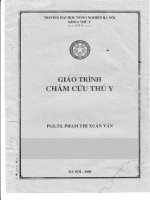 Giáo trình châm cứu thú y part 1 ppt