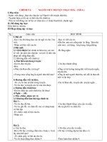 Giáo án CHÍNH TẢ lớp 4: NGƯỜI VIẾT TRUYỆN THẬT THÀ. pot