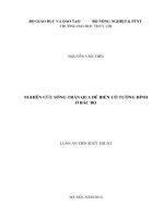 Nghiên cứu sóng tràn qua đê biển có tường đỉnh ở Bắc bộ
