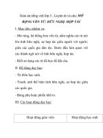 Giáo án tiếng việt lớp 5 - Luyện từ và câu: MỞ RỘNG VỐN TỪ: HỮU NGHỊ- HỢP TÁC pptx