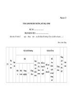 MẪU TỔNG KINH PHÍ BỒI THƯỜNG, HỖ TRỢ, GPMB DỰ ÁN pot