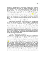 Giáo trình Nucleic Acid part 10 doc
