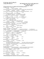 ĐỀ THI KIỂM TRA CHẤT LƯỢNG HỌC KỲ II Môn : Tiếng Anh ( Ban C) pps