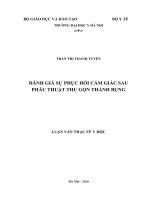 Đánh giá sự phục hồi cảm giác sau phẫu thuật thu gọn thành bụng