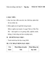 Giáo án tiếng việt lớp 5 - Tập đọc THÁI SƯ TRẦN THỦ pps