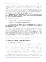 GIÁO TRÌNH HÓA BẢO VỆ THỰC VẬT part 8 docx