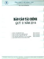 Tổng công ty việt thắng báo cáo tài chính quý 2 năm 2014