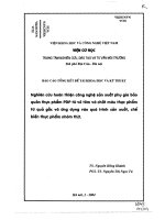 Nghiên cứu hoàn thiện công nghệ sản xuất phụ gia bảo quản thực phẩm PDF từ vỏ tôm và chất màu thực phẩm từ quả gấc và ứng dụng vào quá trình sản xuất, chế biến thực phẩm nhóm thịt