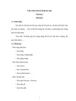 Kỹ thuật keo dán - Chương 1 doc