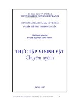 Giáo trình thực tập vi sinh vật chuyên ngành part 1 doc