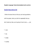 English Language Tests-Intermediate level''''s archiveEnglish Slang Idioms (63) ppt