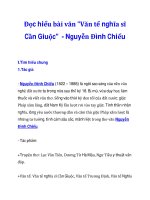 Đọc hiểu bài văn 