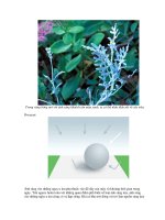 Kỹ thuật chụp ảnh part 6 ppsx