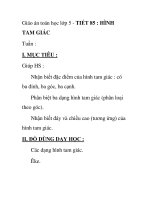 Giáo án toán học lớp 5 - TIẾT 85 : HÌNH TAM GIÁC potx