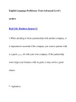English Language Proficiency Tests-Advanced Level''''sarchiveReal Life: Business Jargon (1) pptx