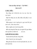 Giáo án tiếng việt lớp 2 - TẬP ĐỌC: Quà của bố pptx