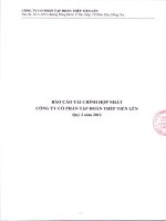 Công ty cổ phần tập đoàn thép tiến lên báo cáo tài chính hợp nhất quý 2 năm 2012