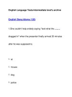 English Language Tests-Intermediate level''''s archiveEnglish Slang Idioms (126) docx